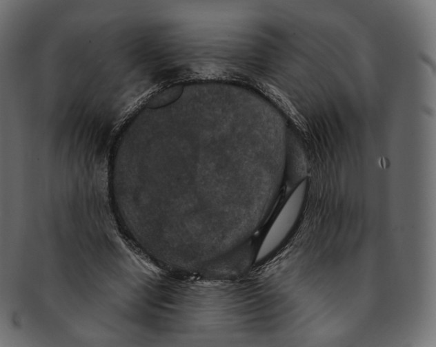 X0000091940442200710031120