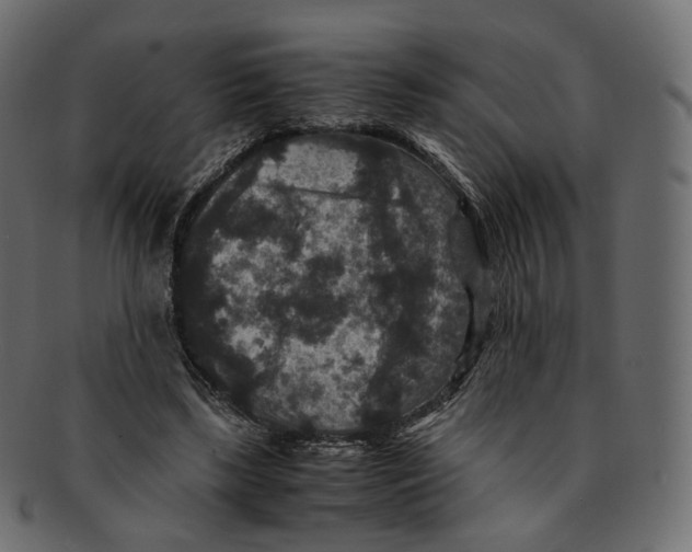 X0000091940443200710031120