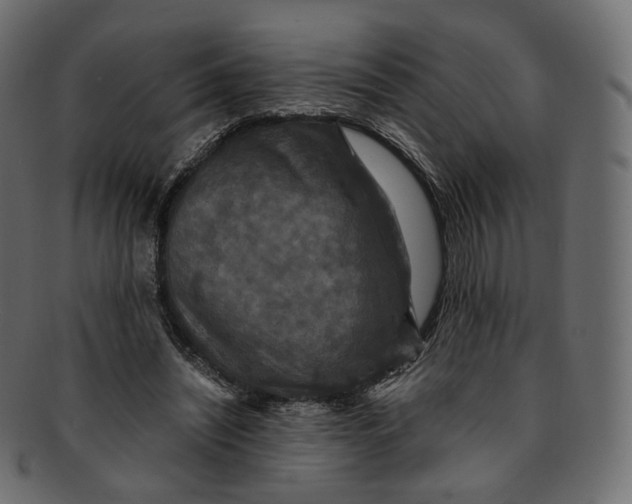 X0000091940444200710031120