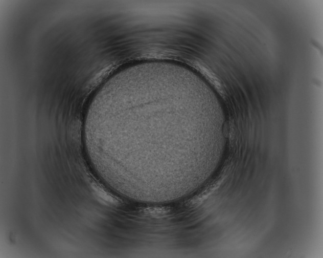 X0000091940445200710031120