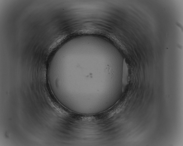 X0000091940446200710031120