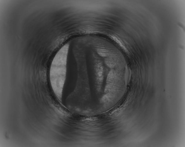 X0000091940447200710031120