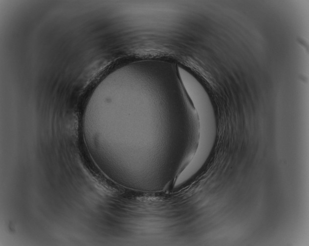 X0000091940448200710031120