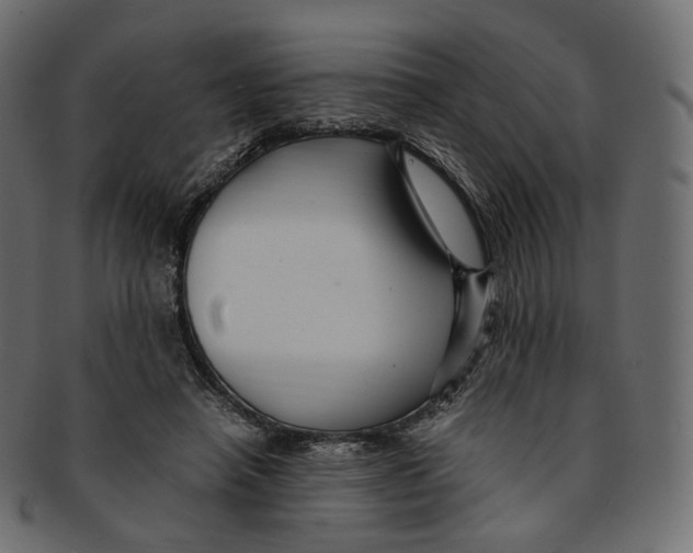 X0000091940450200710031120