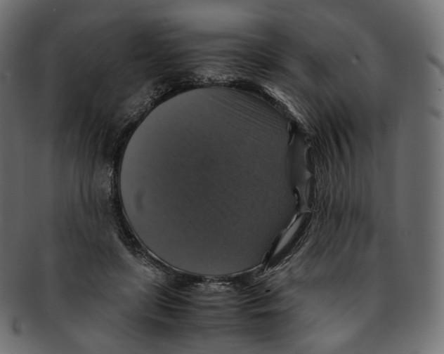 X0000091940451200710031120