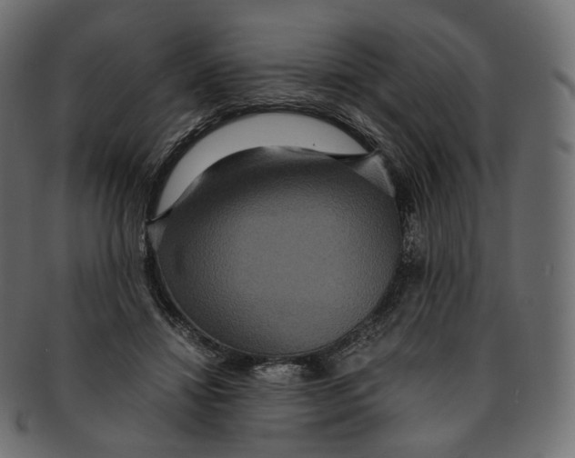 X0000091940452200710031121