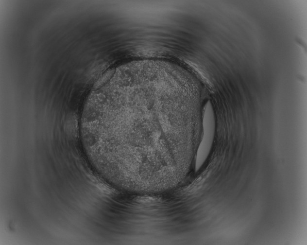 X0000091940453200710031121