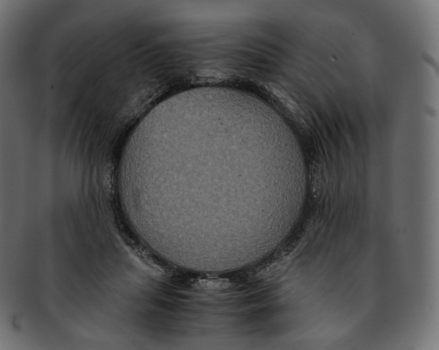 X0000091940455200710031121