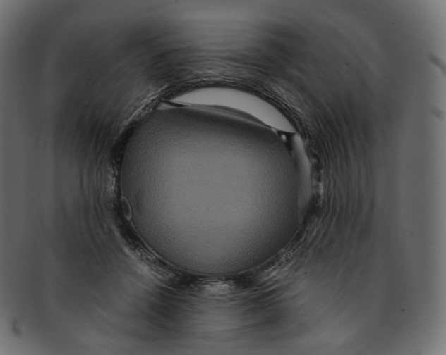 X0000091940456200710031121