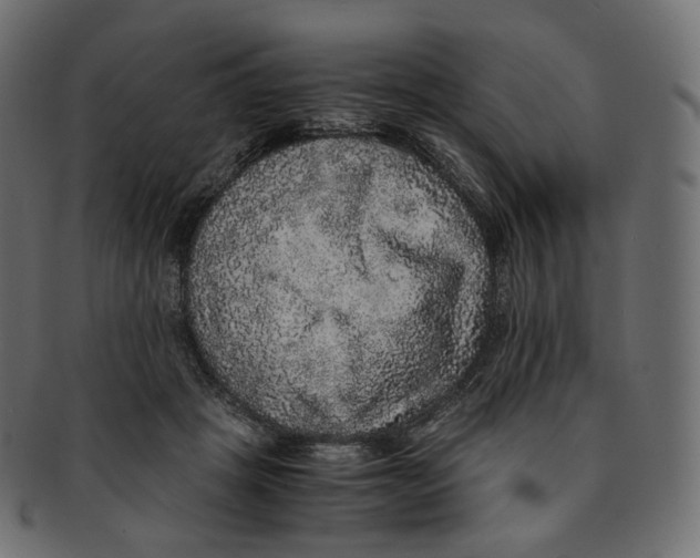 X0000091940457200710031121