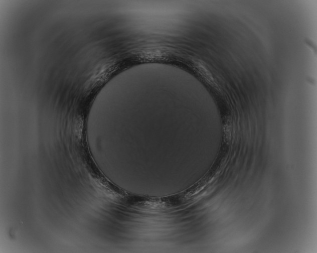 X0000091940458200710031121