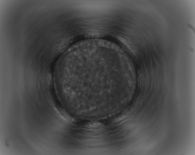 X0000091940459200710031121