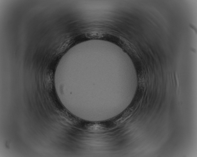 X0000091940460200710031121