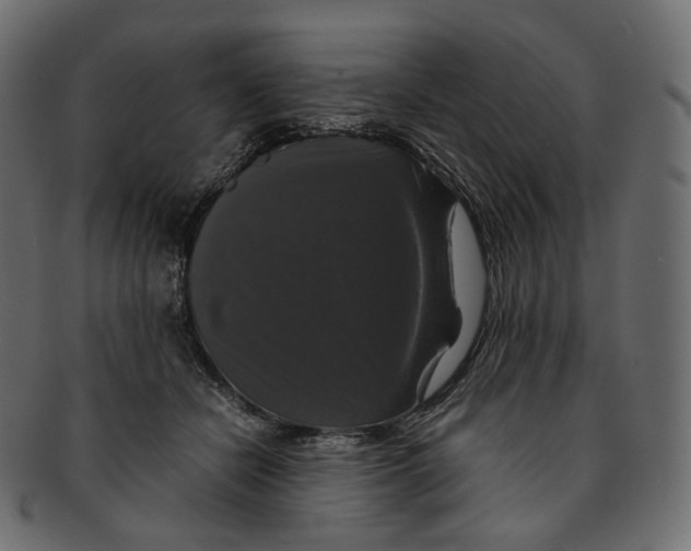 X0000091940462200710031121