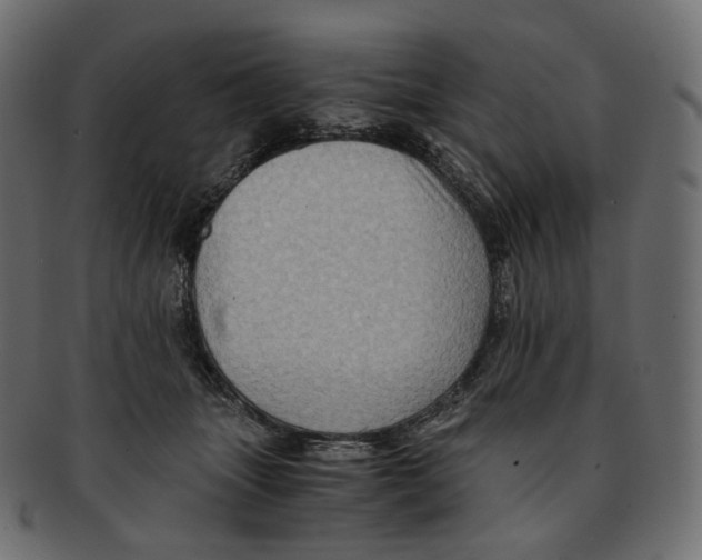 X0000091940463200710031121