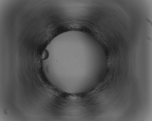 X0000091940464200710031121