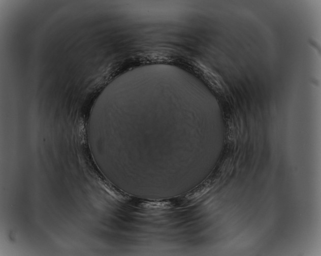 X0000091940465200710031121