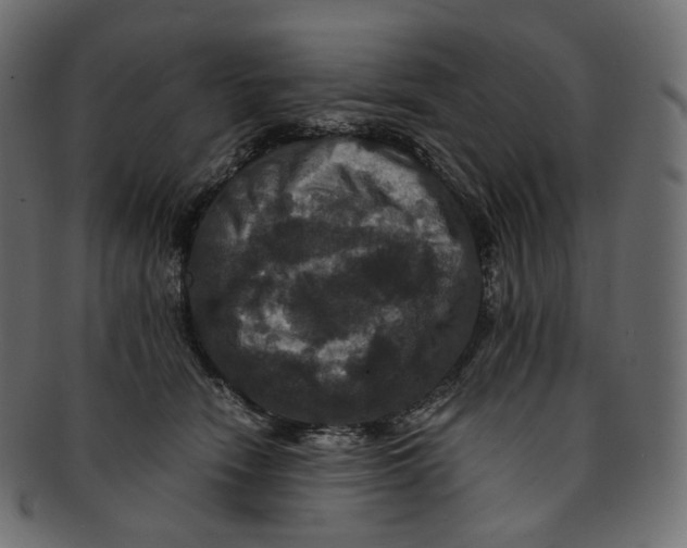 X0000091940466200710031121