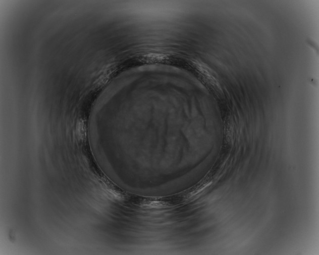 X0000091940467200710031121