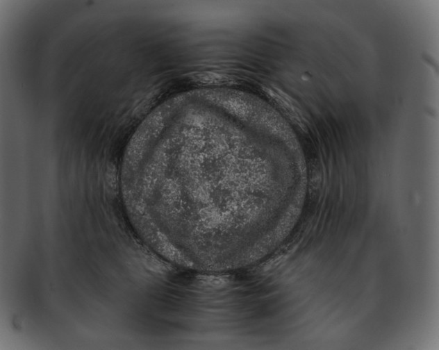 X0000091940469200710031121