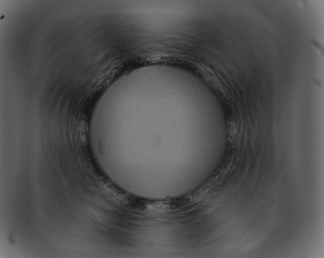 X0000091940470200710031121