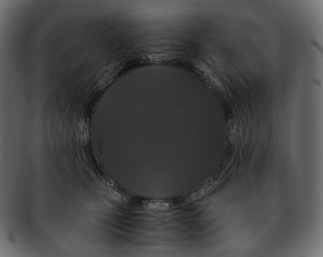 X0000091940471200710031121