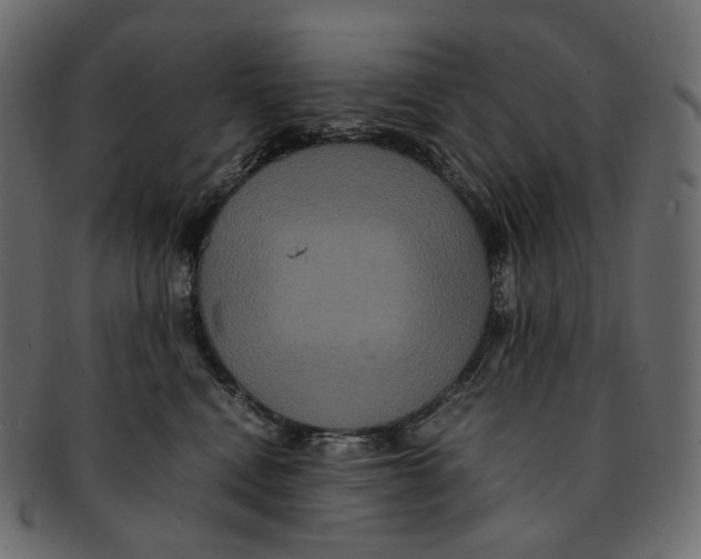 X0000091940472200710031121