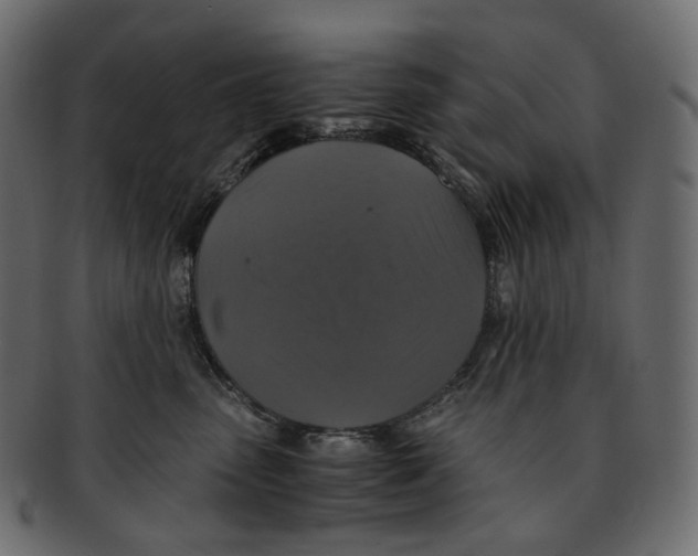 X0000091940475200710031121