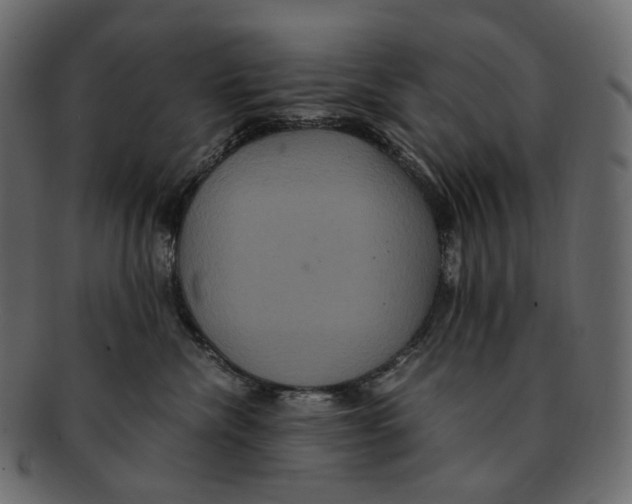 X0000091940476200710031121