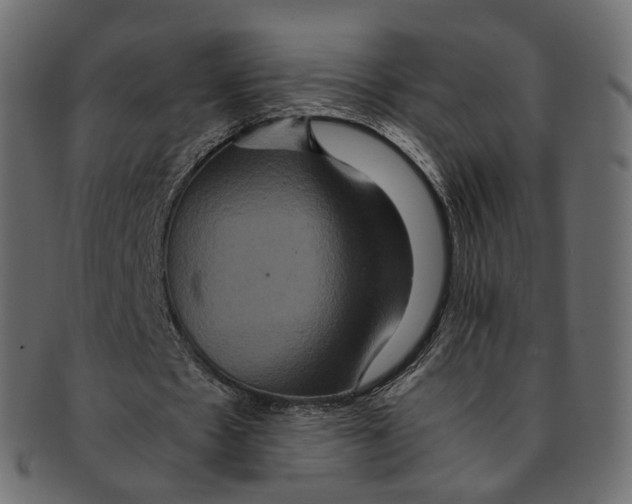 X0000091940481200710031120