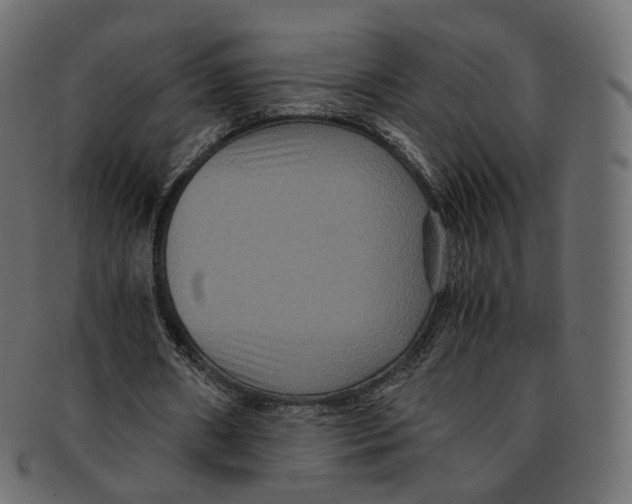 X0000091940482200710031120