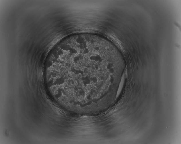 X0000091940483200710031120