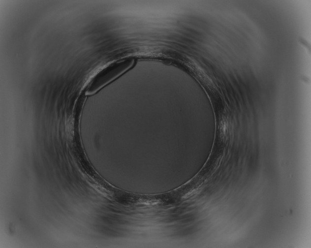 X0000091940484200710031120