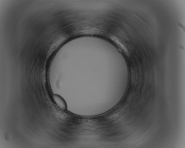 X0000091940486200710031120