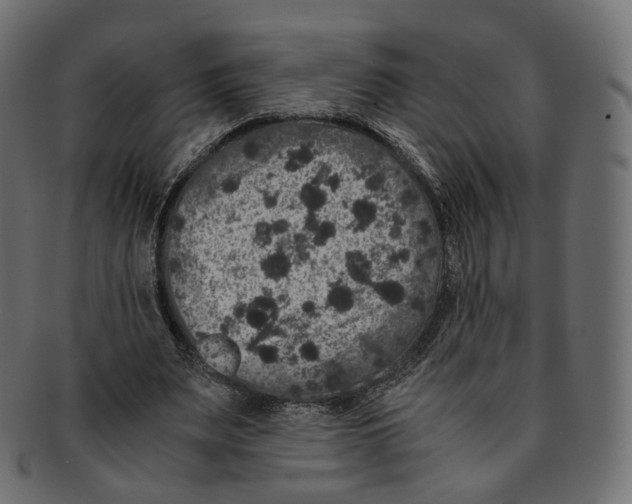 X0000091940487200710031120