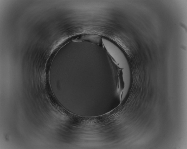 X0000091940488200710031120