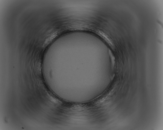 X0000091940489200710031120