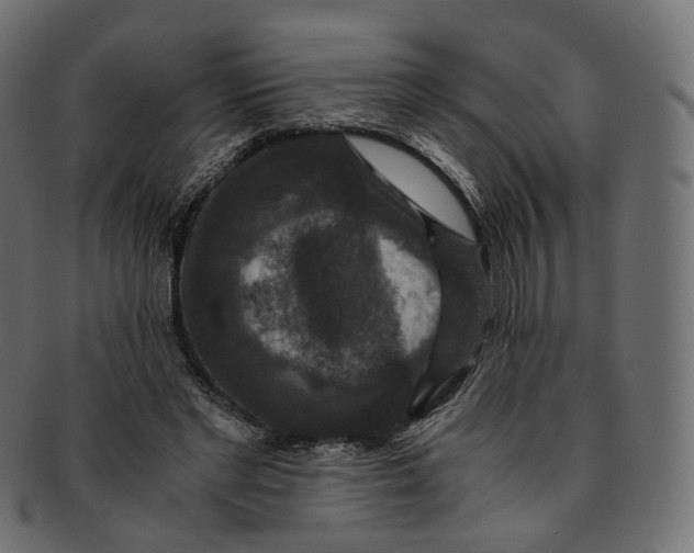 X0000091940493200710031120