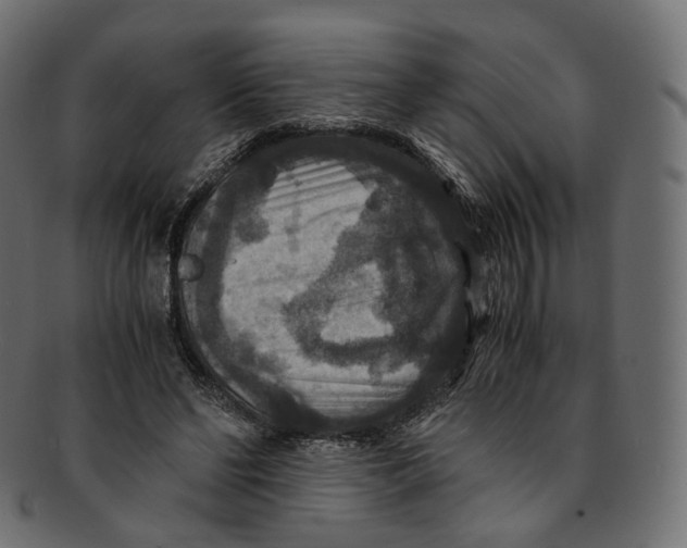 X0000091940494200710031120