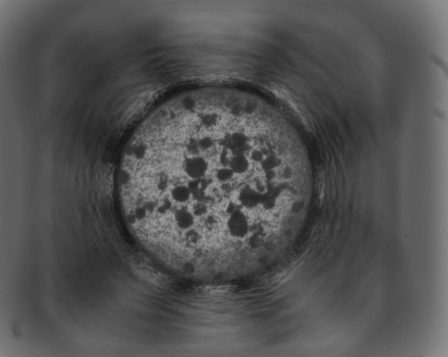 X0000091940495200710031120