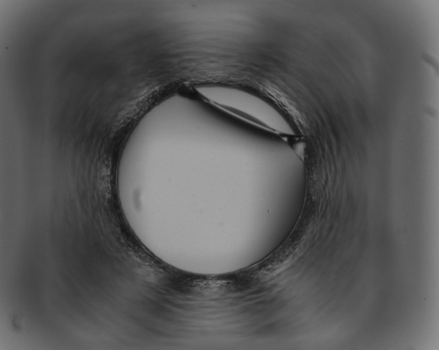 X0000091940497200710031120