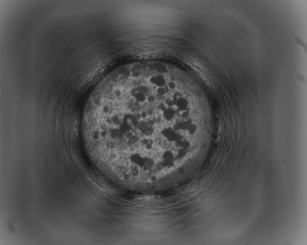 X0000091940499200710031120