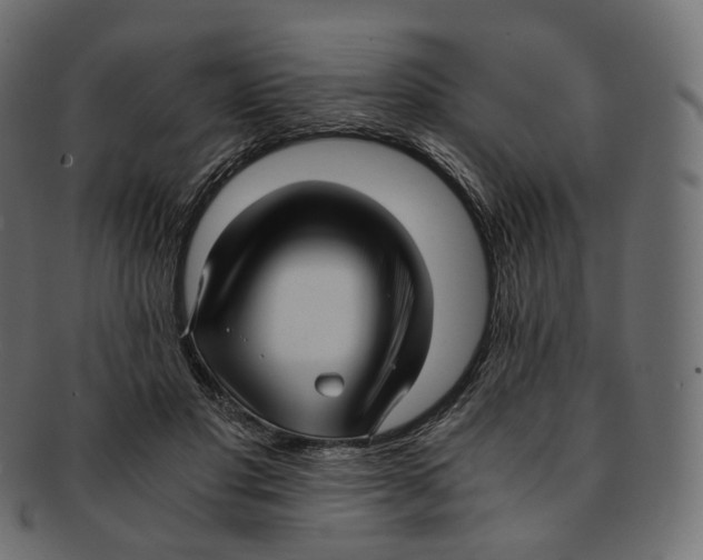 X0000091940501200710031120