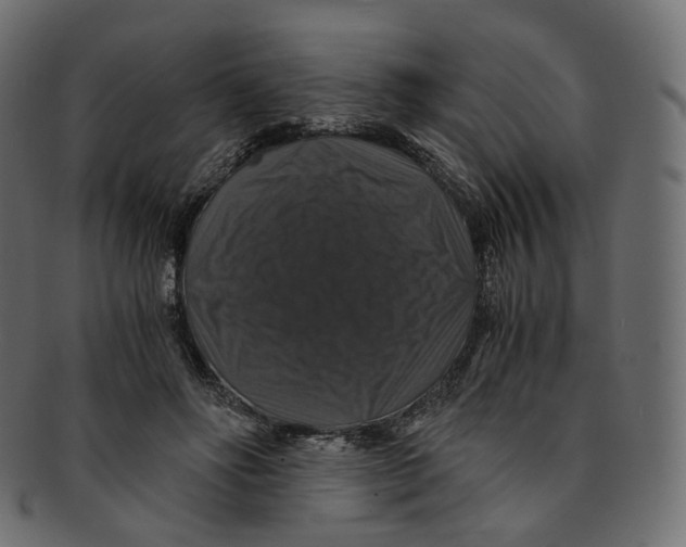 X0000091940502200710031120