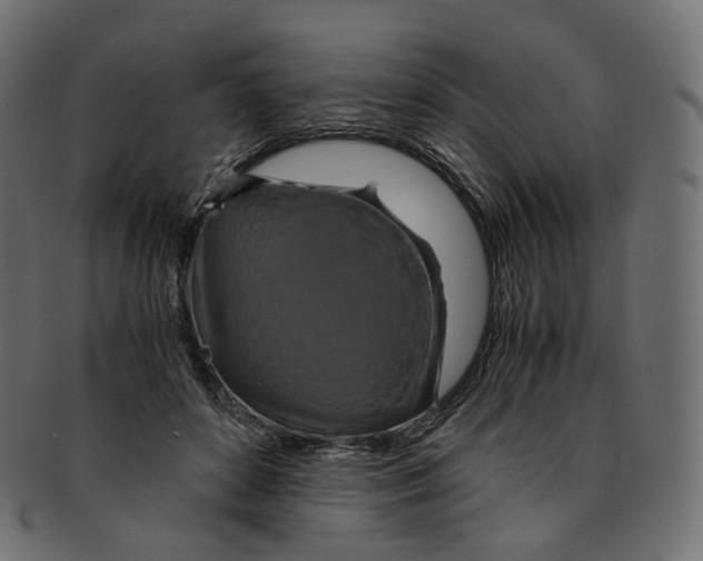 X0000091940504200710031120