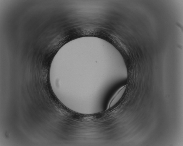 X0000091940505200710031120