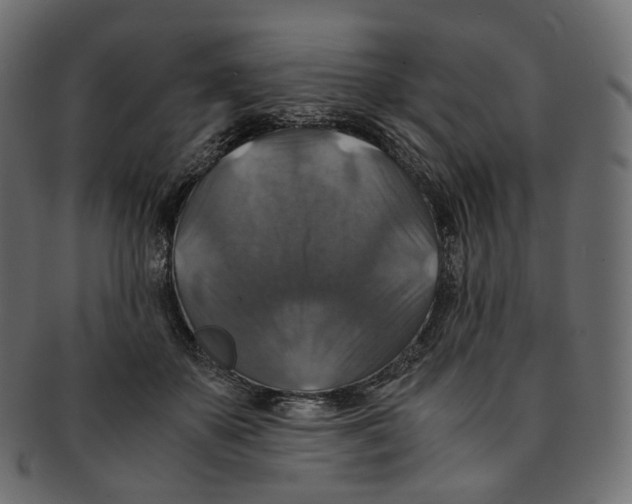 X0000091940507200710031120