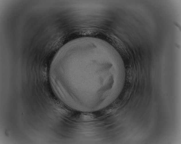 X0000091940510200710031120