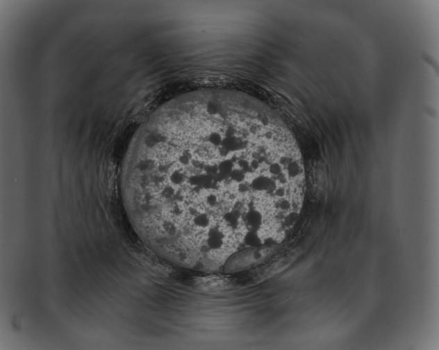 X0000091940511200710031120