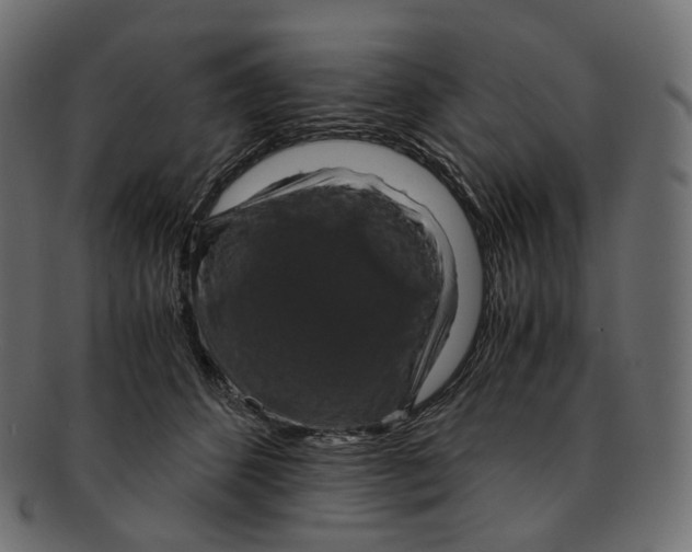 X0000091940512200710031120